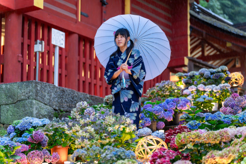 談山神社20260704-11.jpg