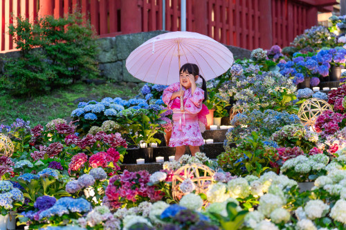 談山神社20260704-13.jpg