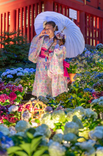 談山神社20260704-29.jpg