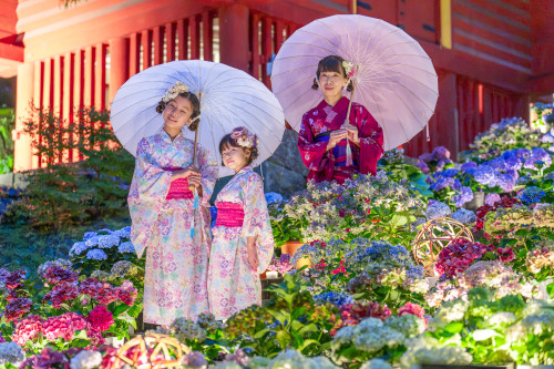 談山神社20260704-32.jpg