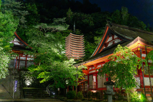 談山神社20260704-50.jpg