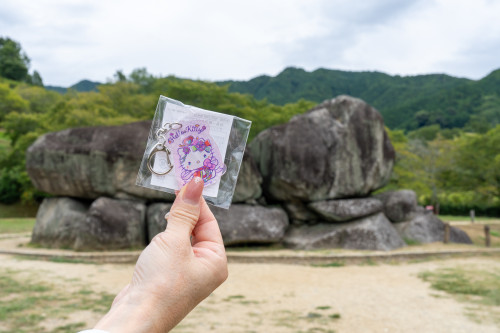 飛鳥藤原キティ-7.jpg