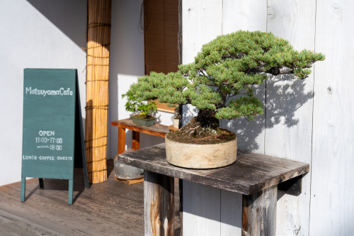 マツヤマカフェ20260913-4.jpg