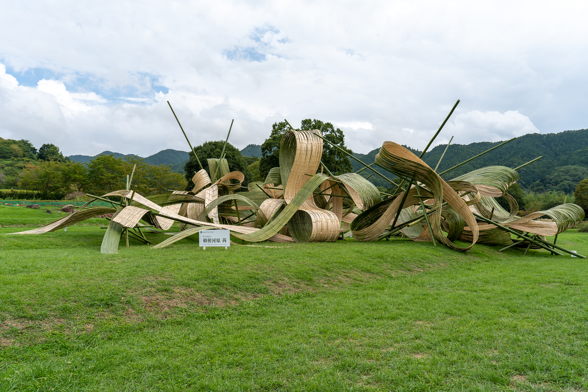 竹作品20260926-8.jpg