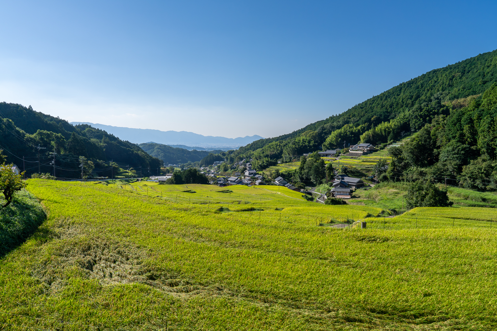 明日香の風景20261001-1920-5.jpg