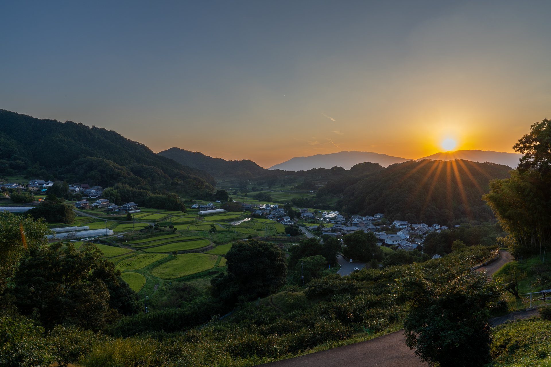 明日香の秋の棚田：上居からの眺め