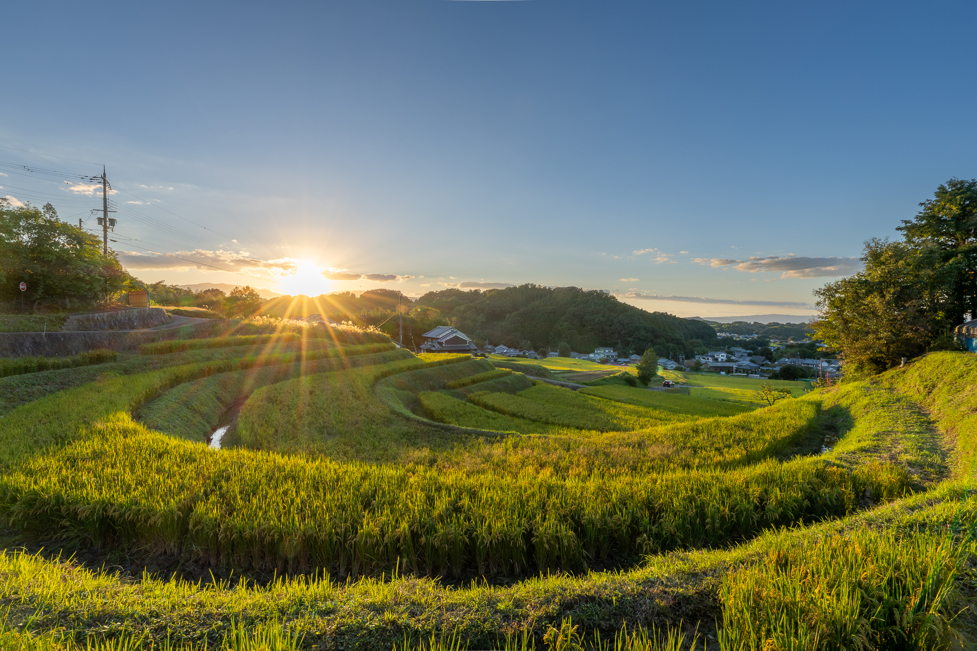 秋の明日香村の棚田風景：坂田の馬蹄