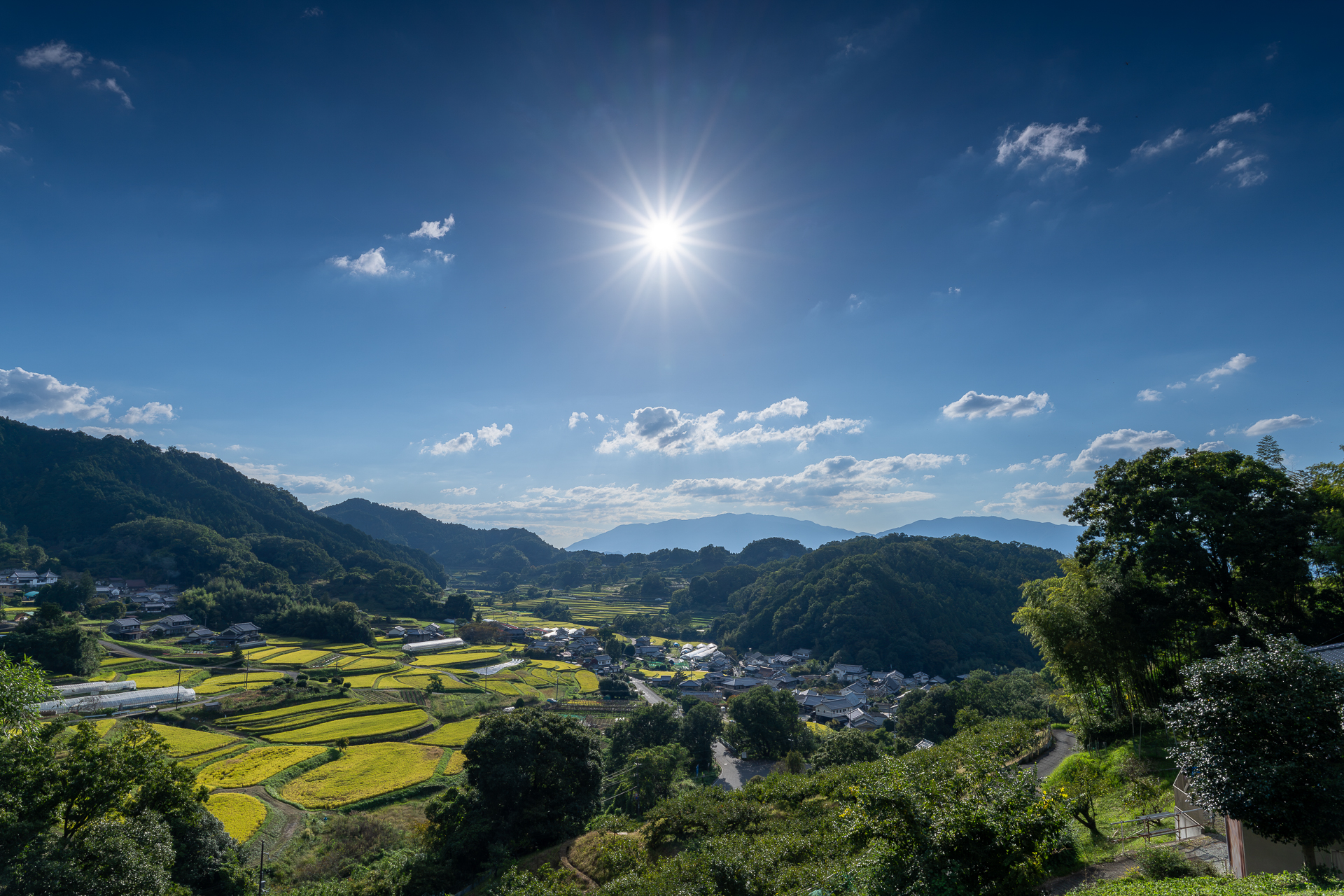秋の明日香村の棚田風景：上居（じょうご）地区から見る棚田の風景