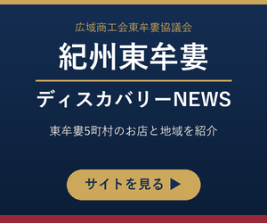 dsc_300x250.png