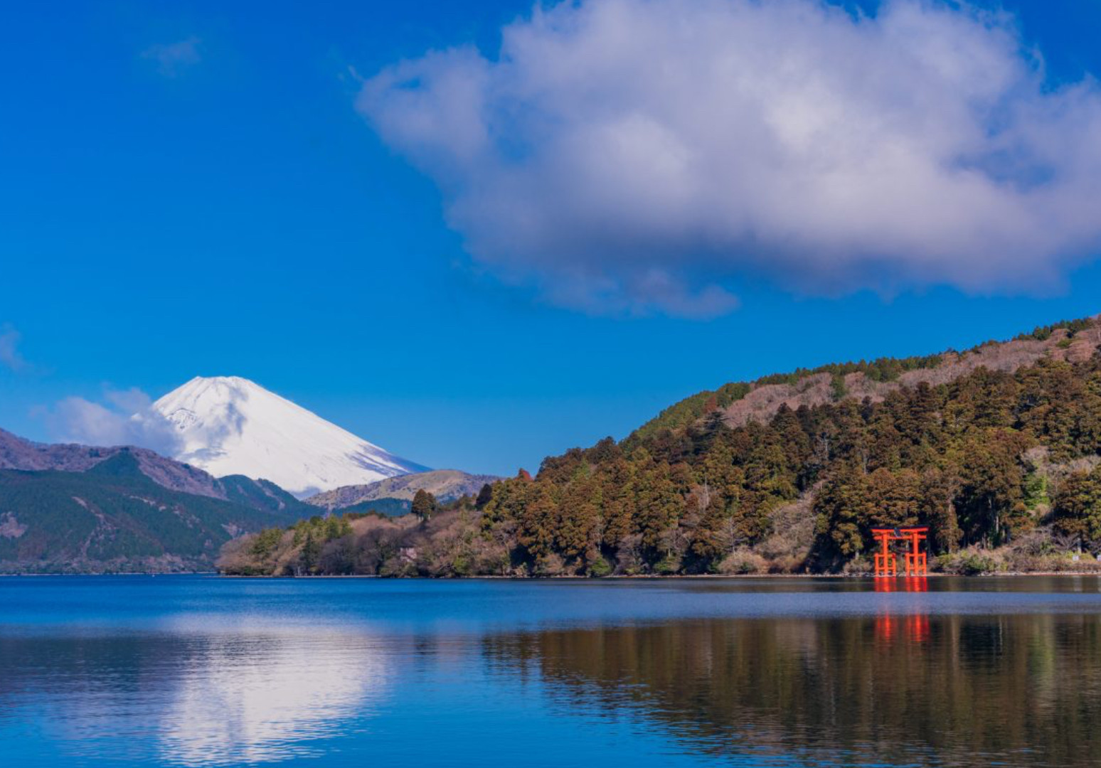 ■ 箱根・芦ノ湖 絶景周遊プラン（8時間コース）