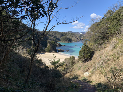 IMG_2220.jpeg