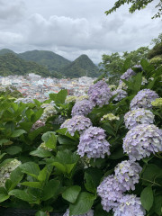 IMG_0773.jpeg