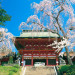 20140527-miyagi-5.jpg