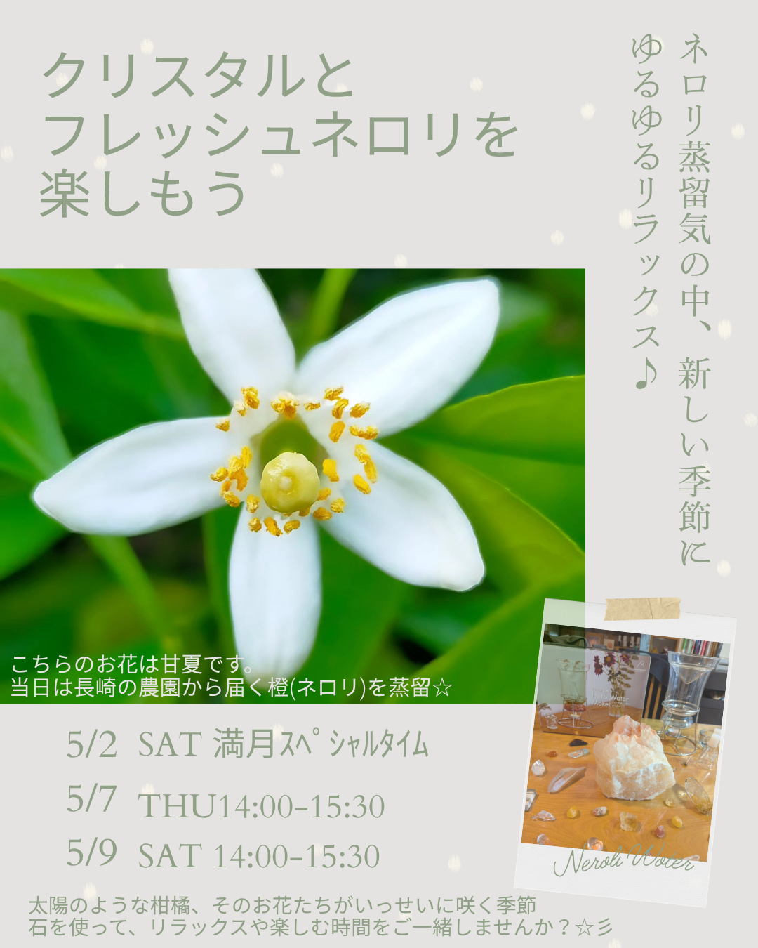 5/2満月スペシャルタイム！！