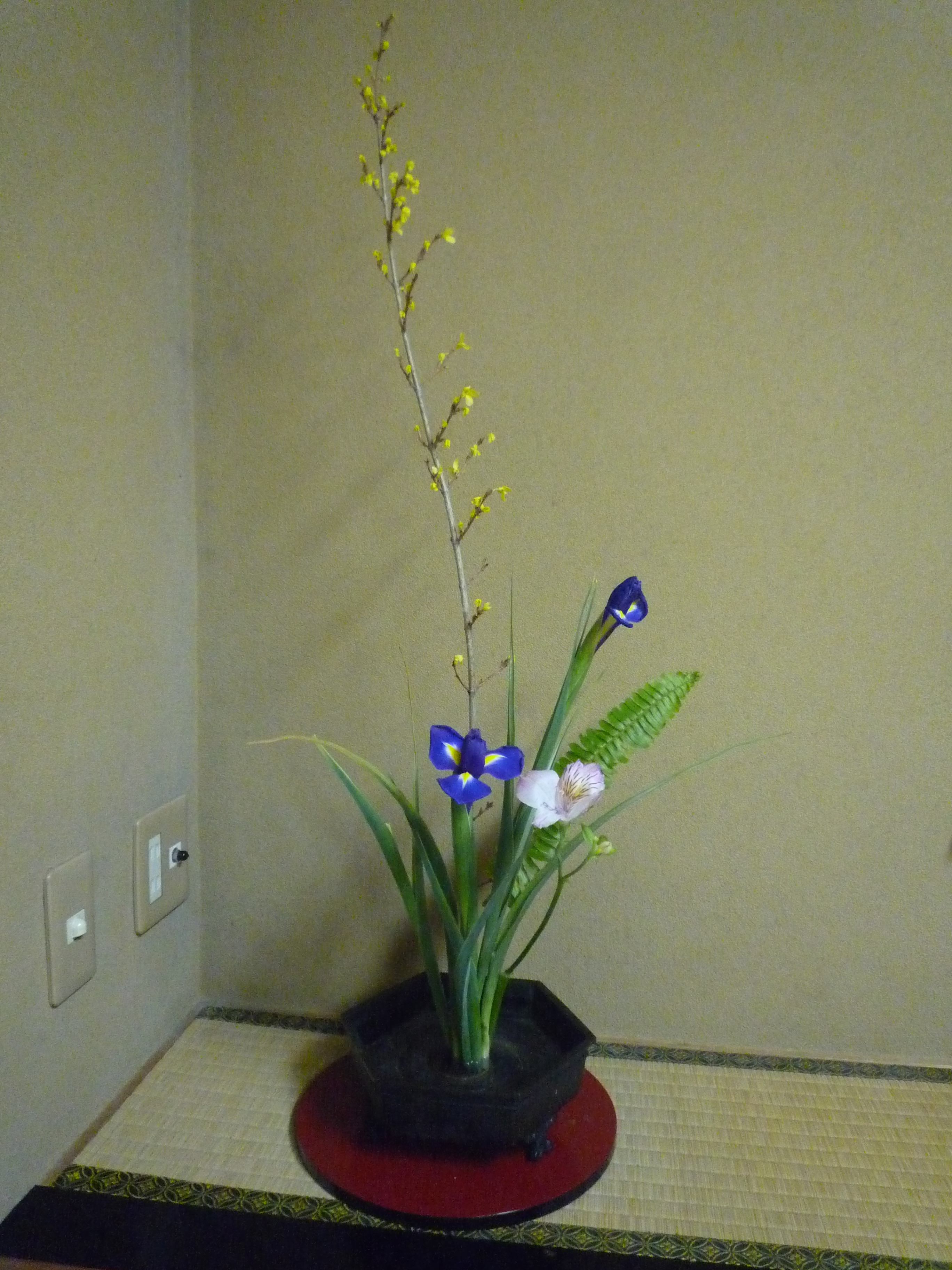床の間花.jpg