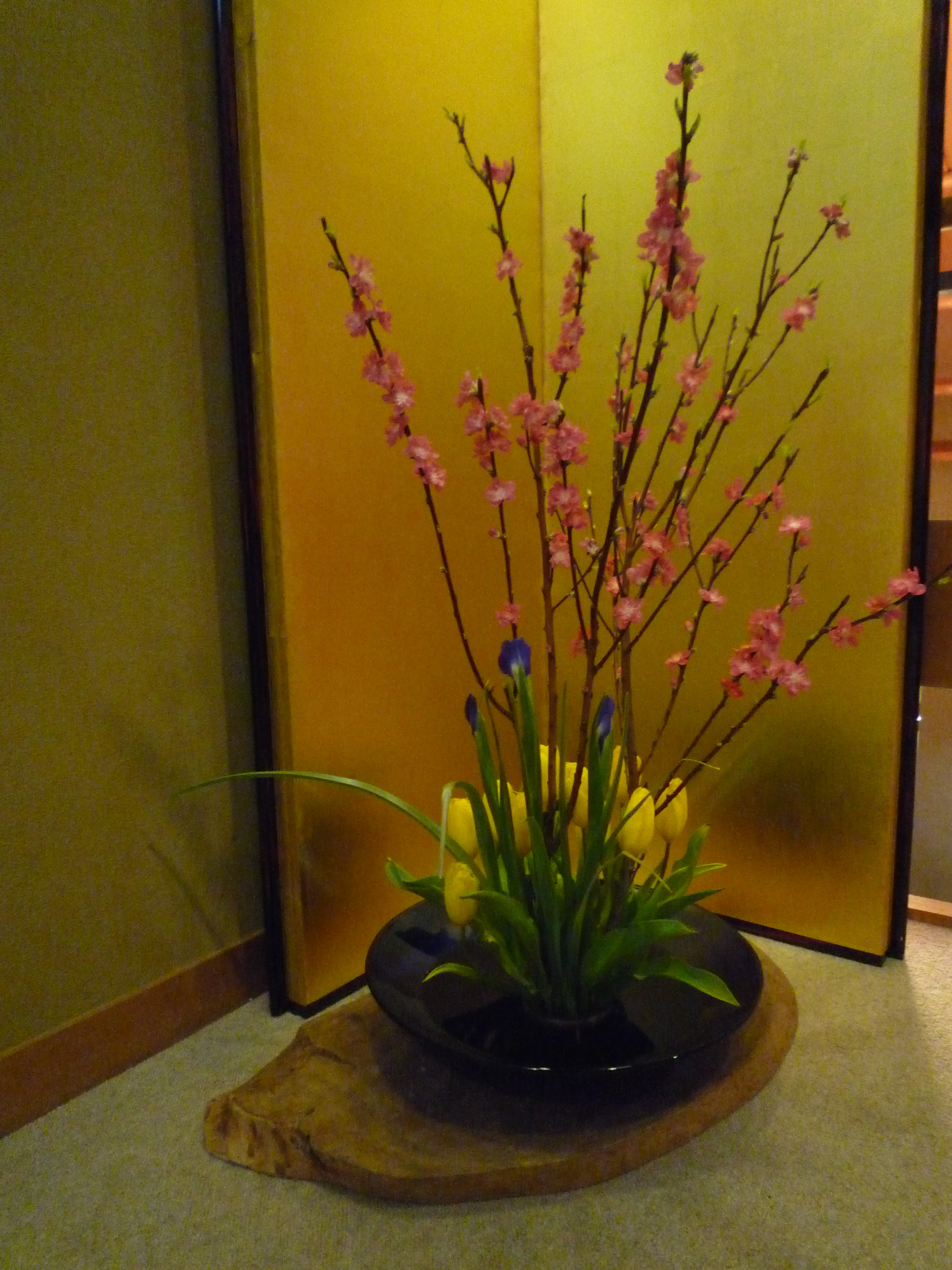 桃の花.jpg