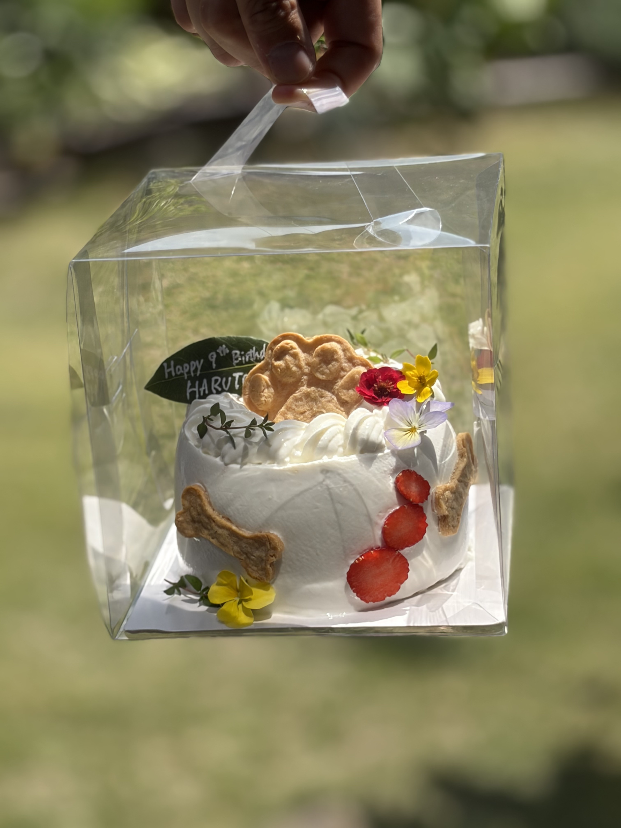 ワンちゃんバースデーケーキ12cm 2600円
