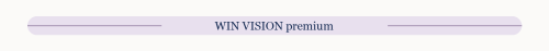 win-vision-wordmark-divider.png