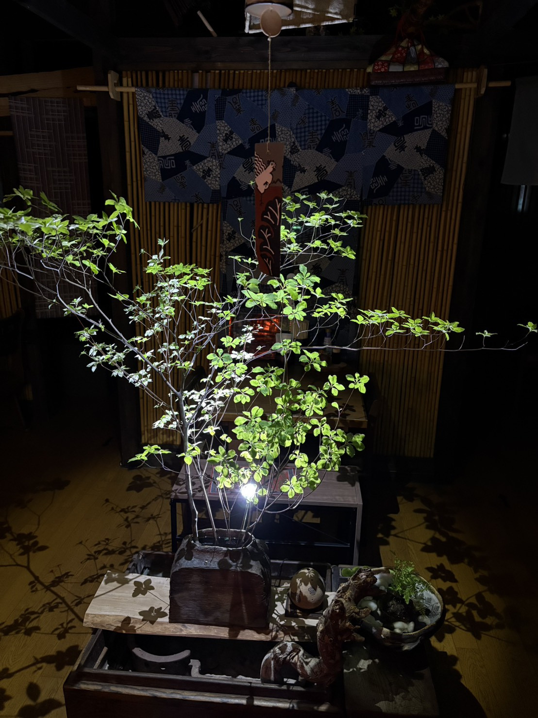 S__32743435.jpg