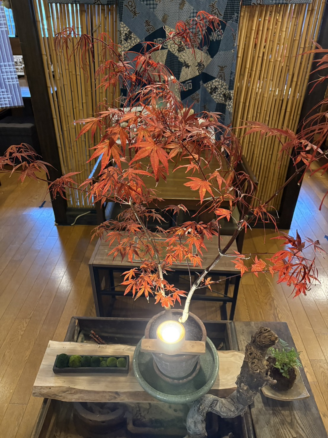 店内に紅葉の彩り♪