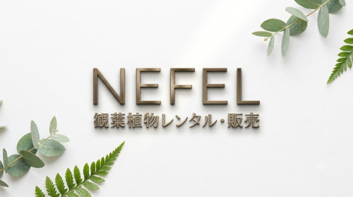 NEFEL1.jpg