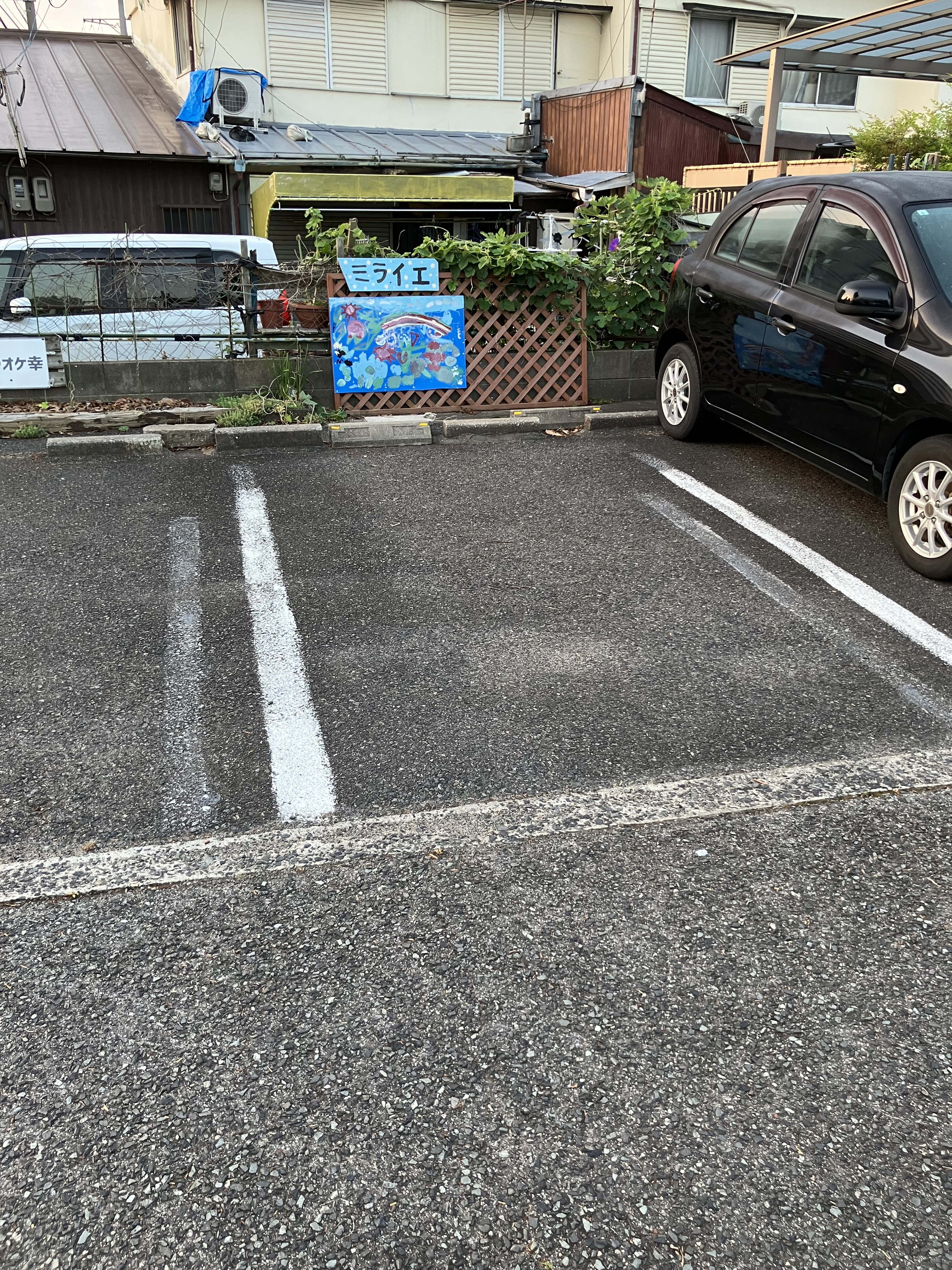 IMG_0372.jpeg