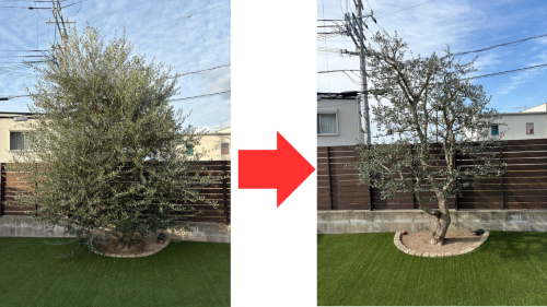 before_after2.png