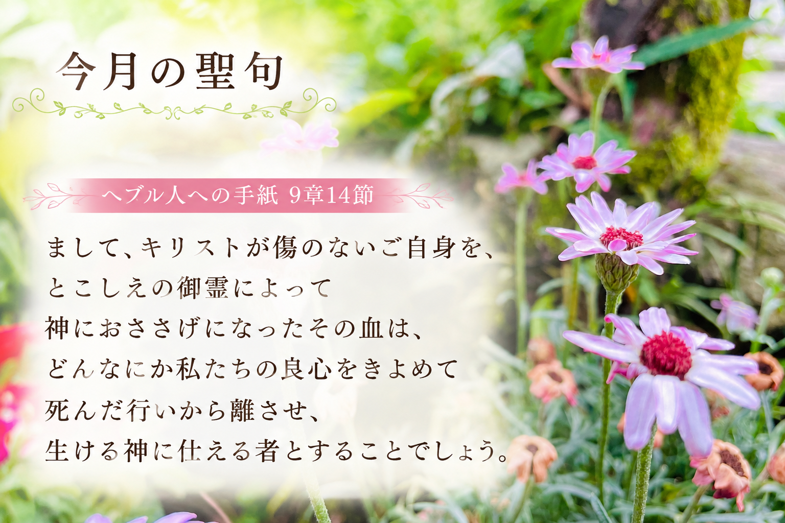 【今月の聖句】今月の聖句を更新しました。