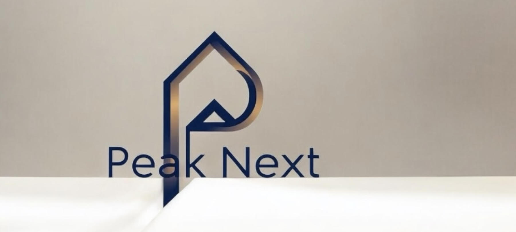 PeakNext株式会社　ピークネクスト株式会社　ピークネクスト　ピーネックスぴーくねくすと　ぴーねっくす　