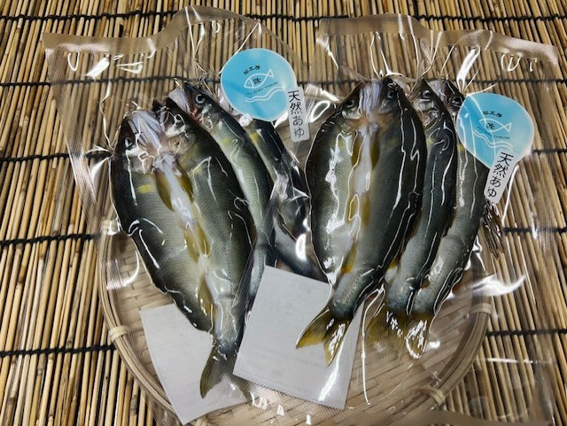 鮎の一夜干し