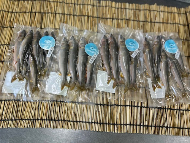 生鮎（からあげ用）