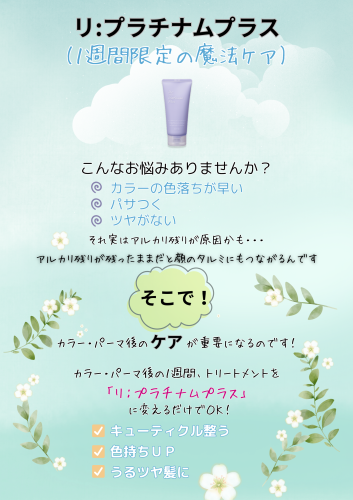 リプラチナムプラス.png