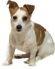 IMG_0263.png
