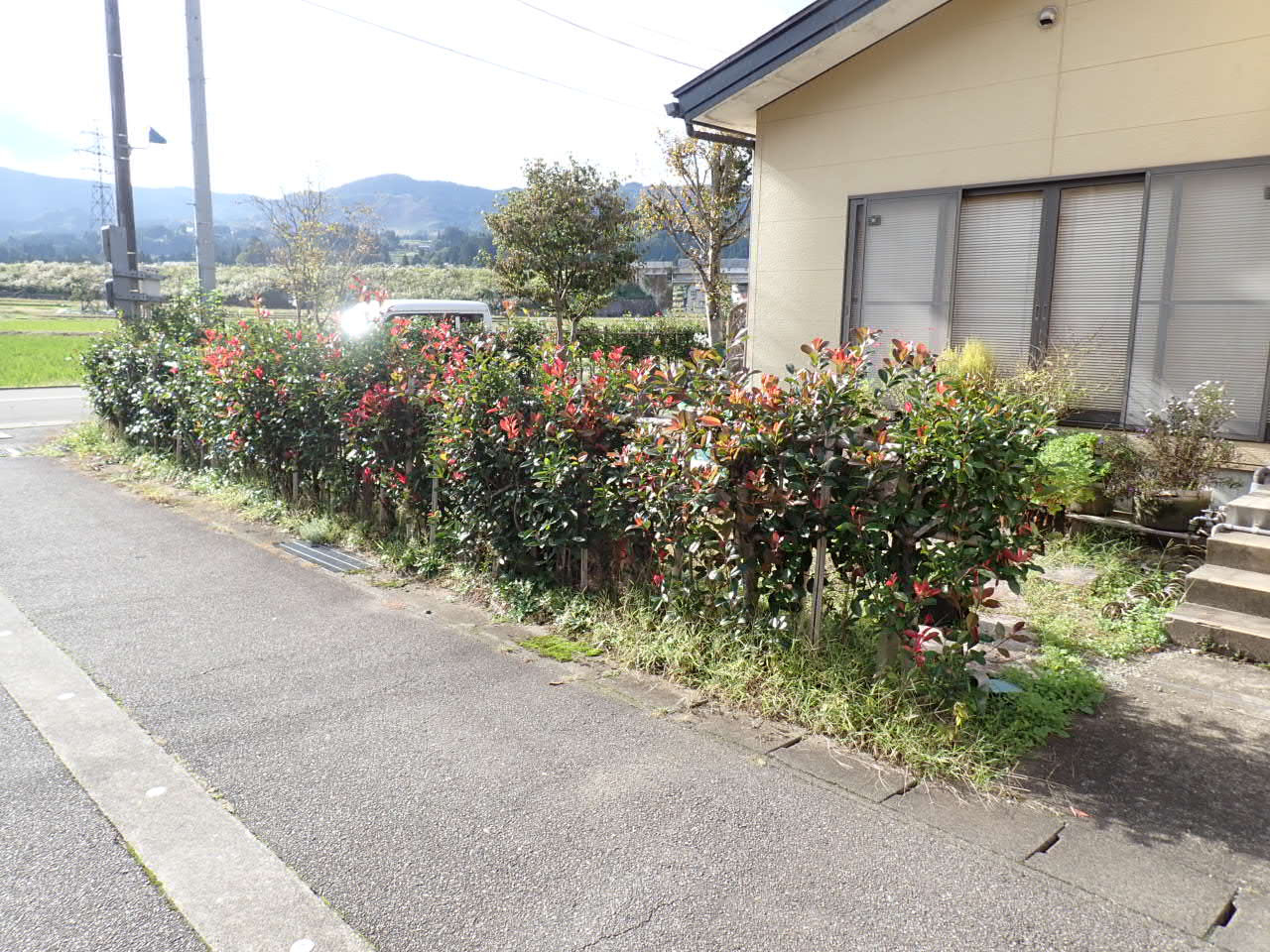 PA210012.JPG