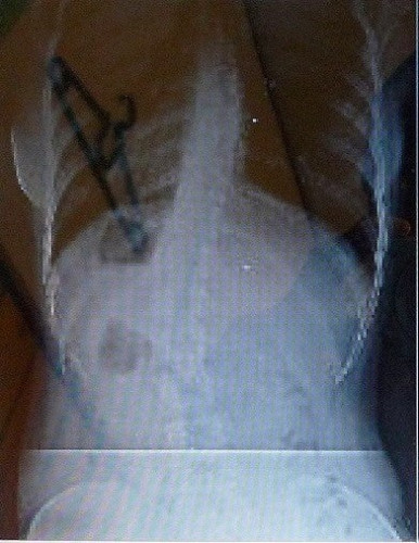 o0763050715763603446re.jpg