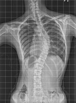 o0245032915763603420.jpg