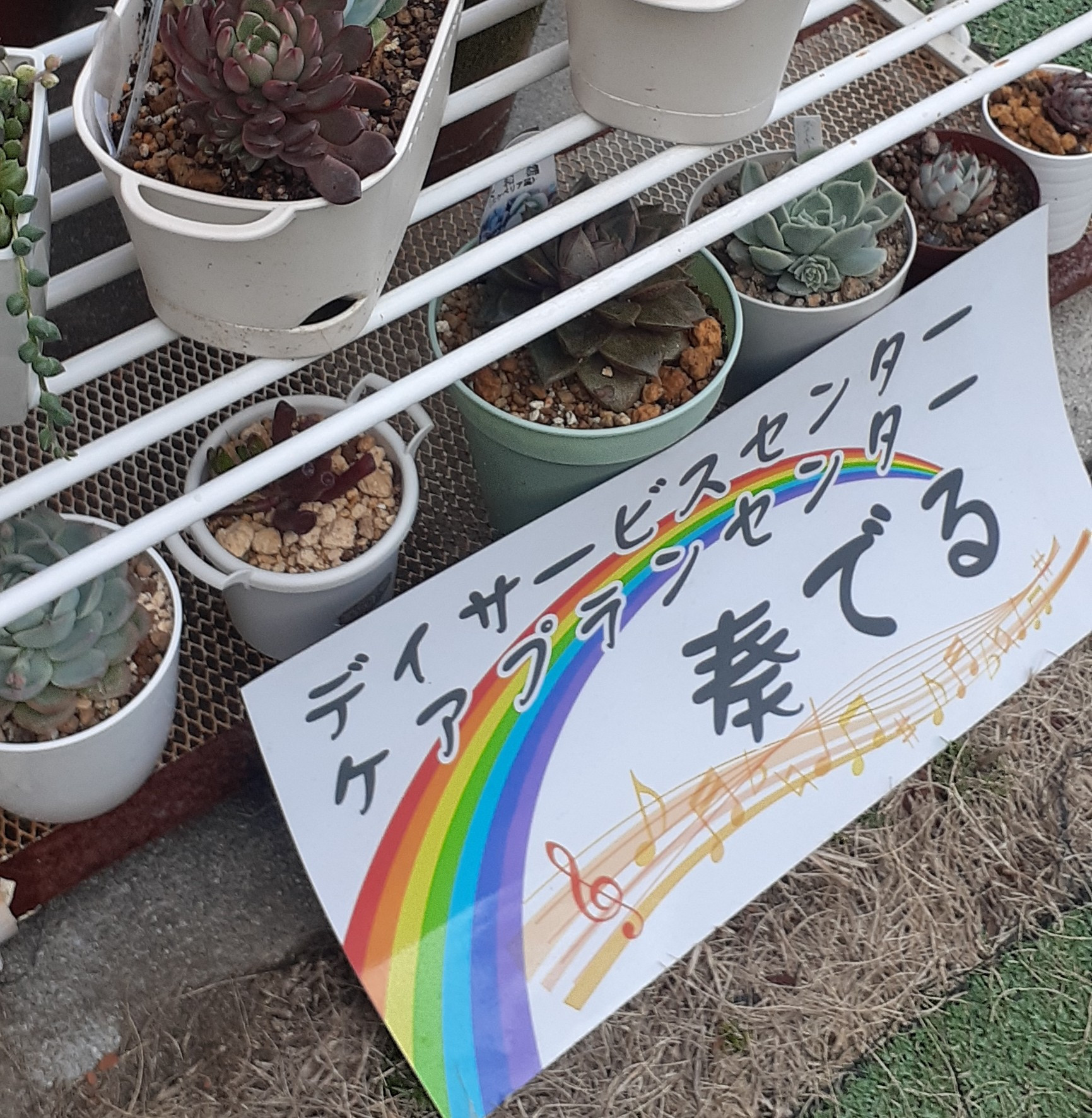 楽しみを共有したい！