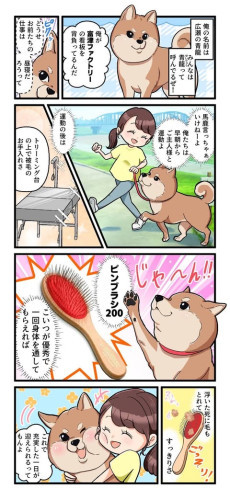 250918225336-68cc0ee04366a_l.jpg