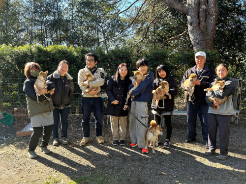 FF交流会