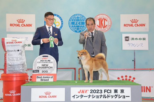 JKC2023FCI東京インターナショナルドックショー