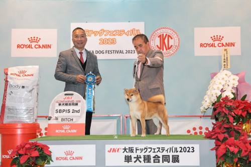 JKC2023大阪ドックフェスティバル単犬種合同展