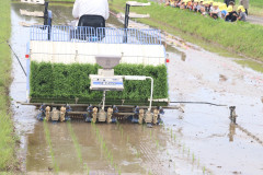 line_72681408403574.jpg