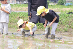 line_72702128371118.jpg