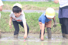 line_72711759990021.jpg