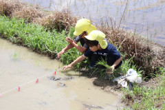 line_72795101791343.jpg