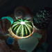 無題11_202210102015301.png