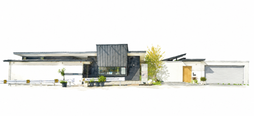 マッシュルームカフェ.png