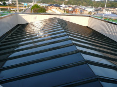 P1000393-2.JPG