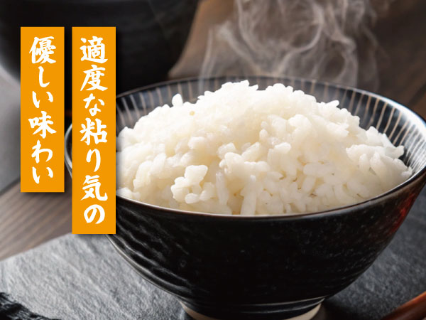 ひとめぼれ