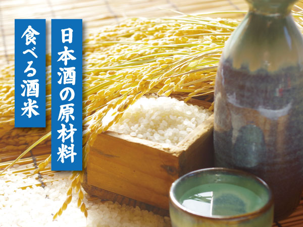 酒米